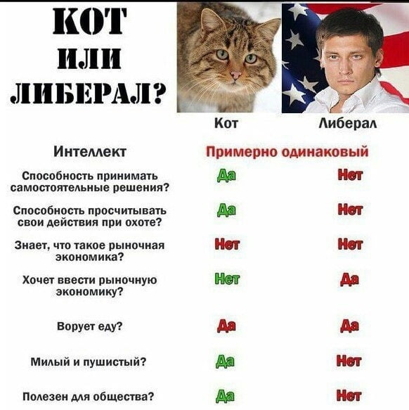 Мем: Кот лучше, Правдоруб Адекват
