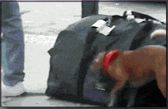 Мем: Шаришь, хвостатый: сам лопатник надо сразу сбросить, Серж Скоров