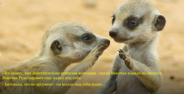 Мем: Да что ви говорите!