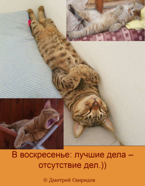 Мем: Весенняя хандра в невесеннюю погоду)