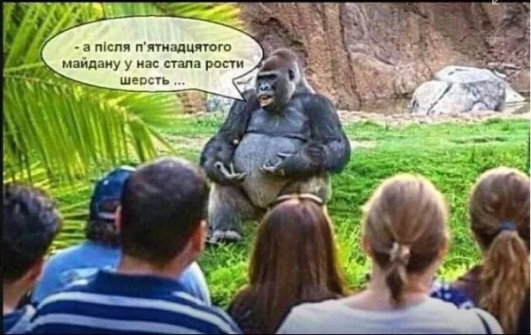 Мем: Тяжело только первые пять майданов..., Юрий Небольсин