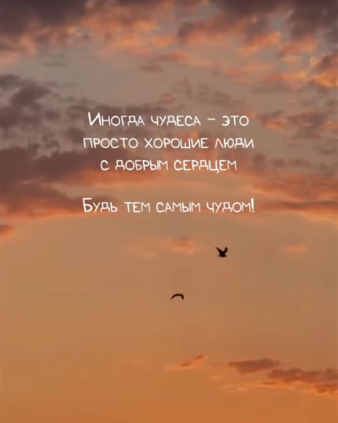 Мем, Алекс Гудков