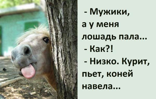 Мем, Александр САН