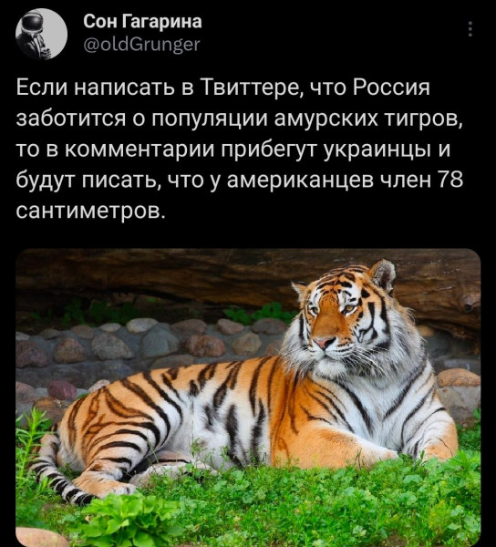 Мем: Традiции, Юрий Небольсин