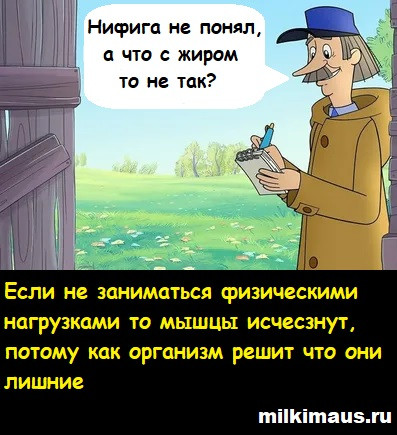 Мем, Лис Интересный
