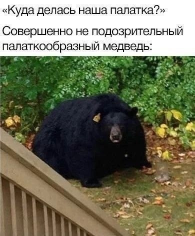 Мем, Смехалка