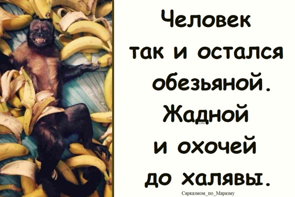 Мем, Александр САН