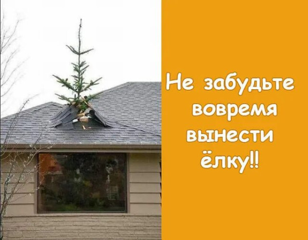 Мем: Вовремя вынести елку, RusLan2025