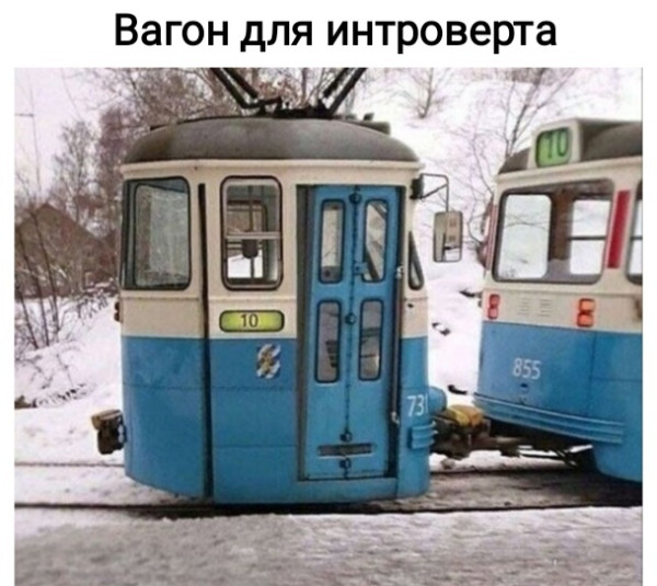 Мем, Рысь