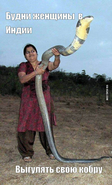 Мем: Будни женщины в Индии, RusLan2025