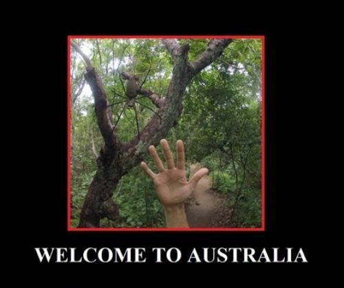 Мем: Добро пожаловать в Австралию, RusLan2025