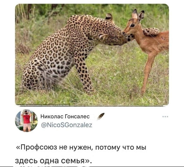 Мем
