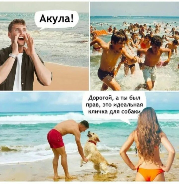 Мем: Акула, RusLan2025