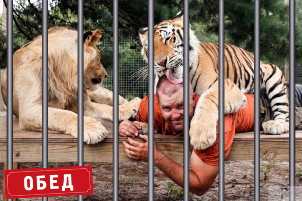 Мем: В День зоопарка