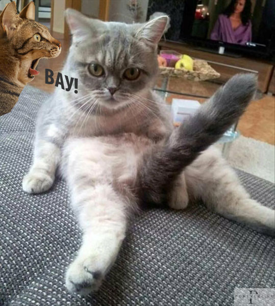 Мем: В День единорога Мем: В День единорога