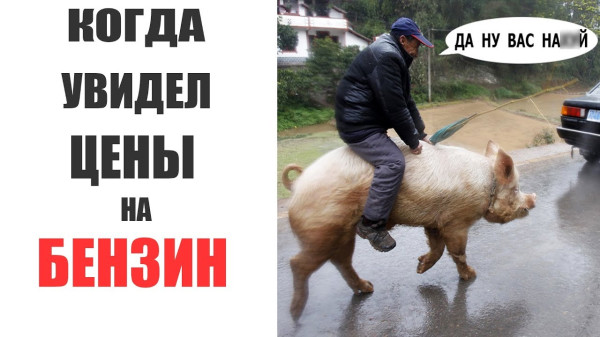 Мем: Когда увидел цены на бензин, RusLan2025
