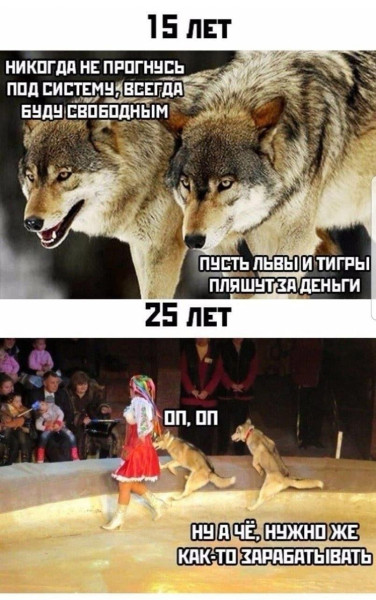 Мем, FDio