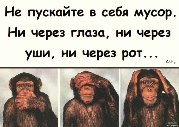 Мем, Александр САН