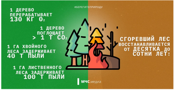 Мем, Алекс Гудков