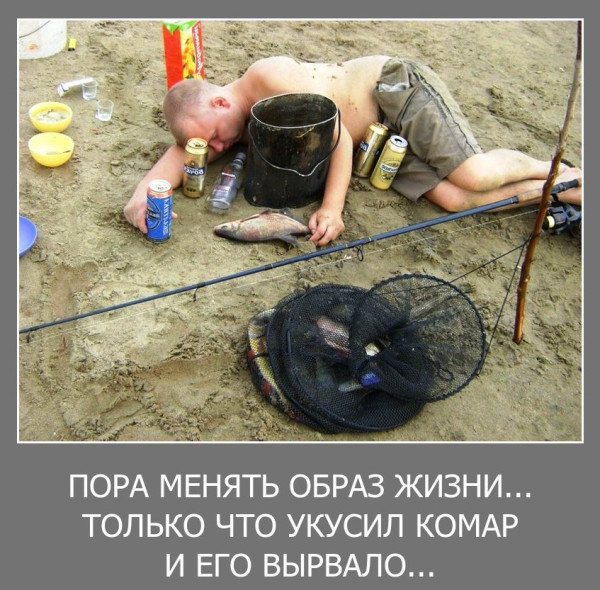 Мем, Волгоградский рыболов