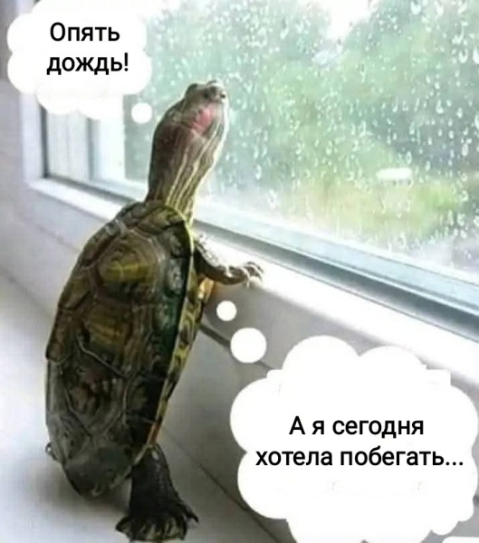 Мем, Рысь Мем, Рысь