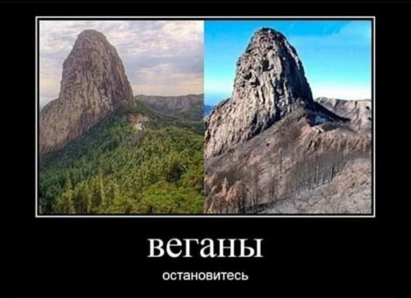 Мем, mikololo Мем, mikololo
