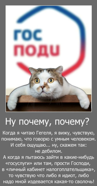 Мем, Волгоградский рыболов Мем, Волгоградский рыболов