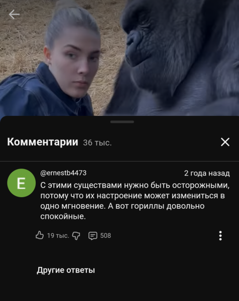 Мем, Nik71 Мем, Nik71
