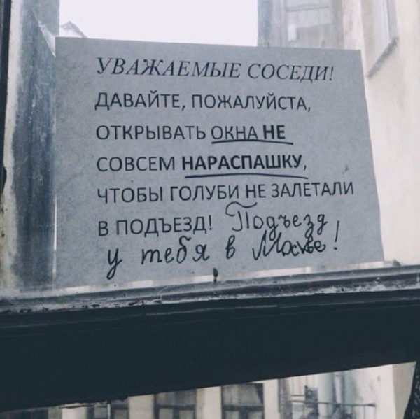 Мем: Подъезд и Парадная, RusLan2025 Мем: Подъезд и Парадная, RusLan2025