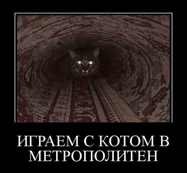 Мем: Играем с котом в Метрополитен Мем: Играем с котом в Метрополитен