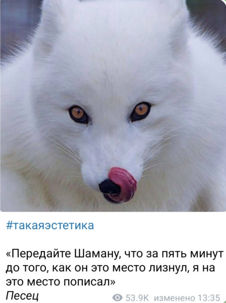 Мем, Ashmedai Мем, Ashmedai