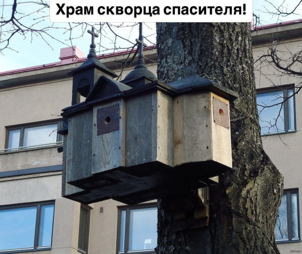 Мем, Ashmedai Мем, Ashmedai
