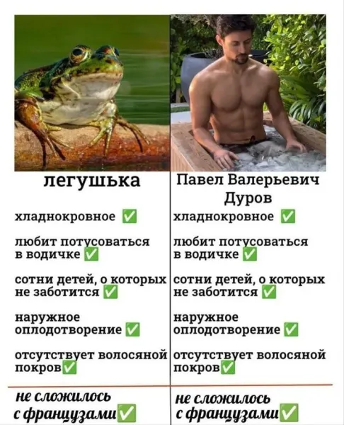 Мем, Смехалка Мем, Смехалка
