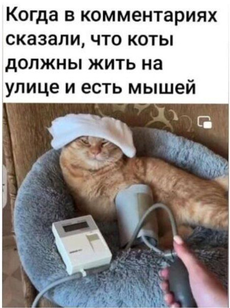 Мем, Смехалка Мем, Смехалка