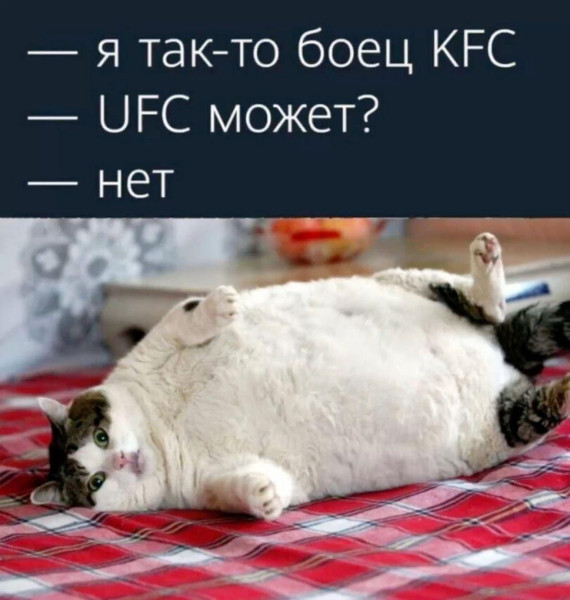 Мем: Боец KFC, RusLan2025