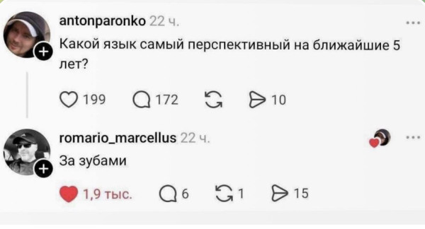 Мем, SKI