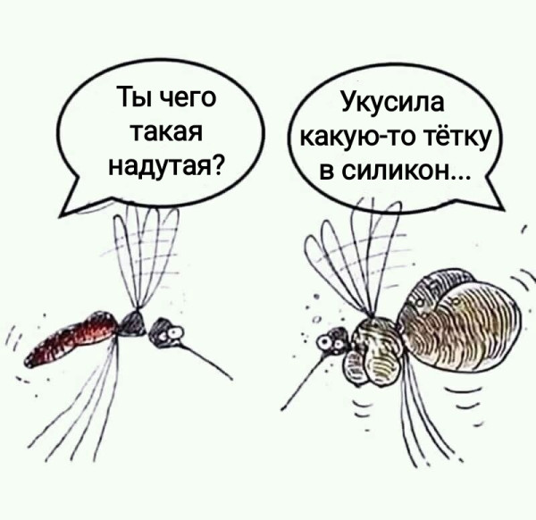 Мем, Рысь Мем, Рысь