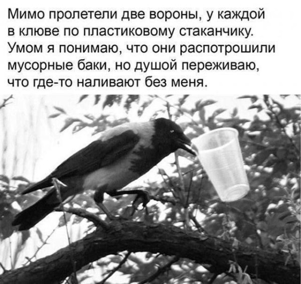 Мем, Hendry Мем, Hendry