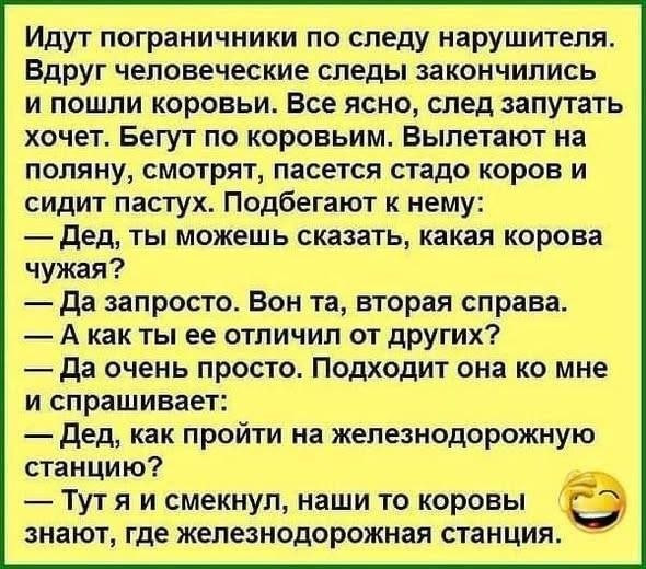 Мем, Ashmedai Мем, Ashmedai