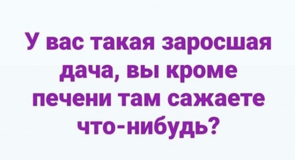 Мем, Алекс Гудков Мем, Алекс Гудков