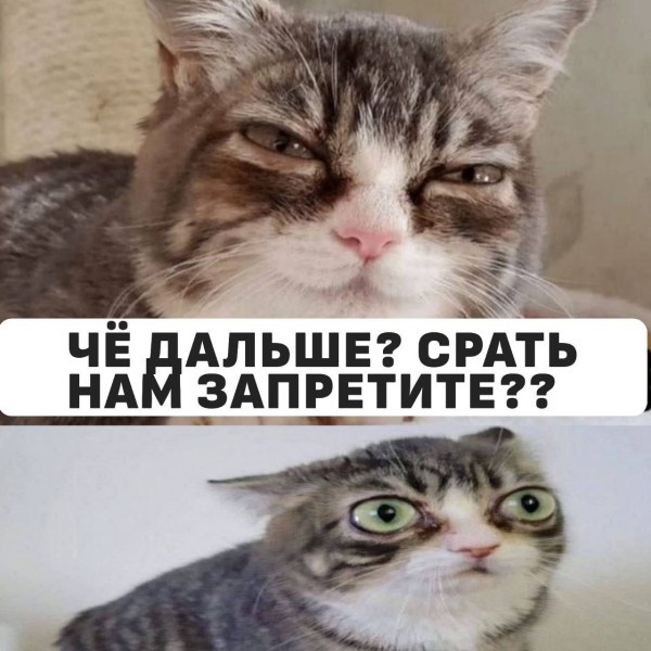 Мем, FDio