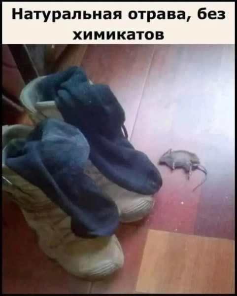 Мем, Ввелник Мем, Ввелник