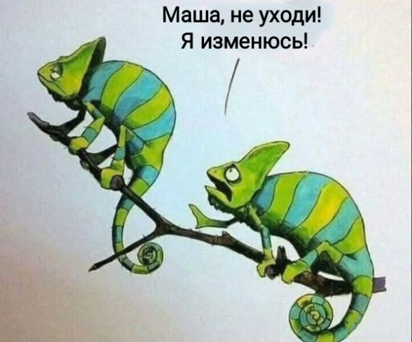 Мем, Рысь