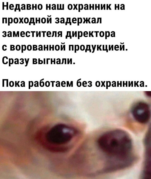 Мем, Ashmedai Мем, Ashmedai