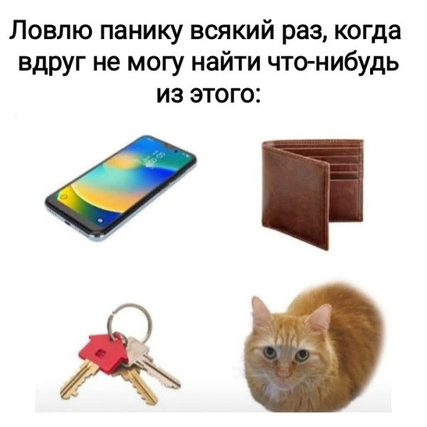 Мем, Рысь Мем, Рысь