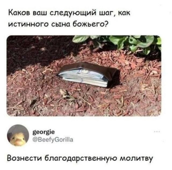 Мем, Ashmedai Мем, Ashmedai