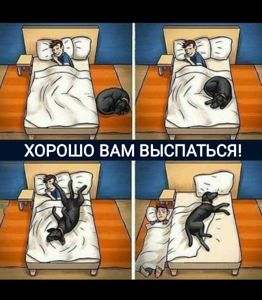 Мем, Рысь Мем, Рысь