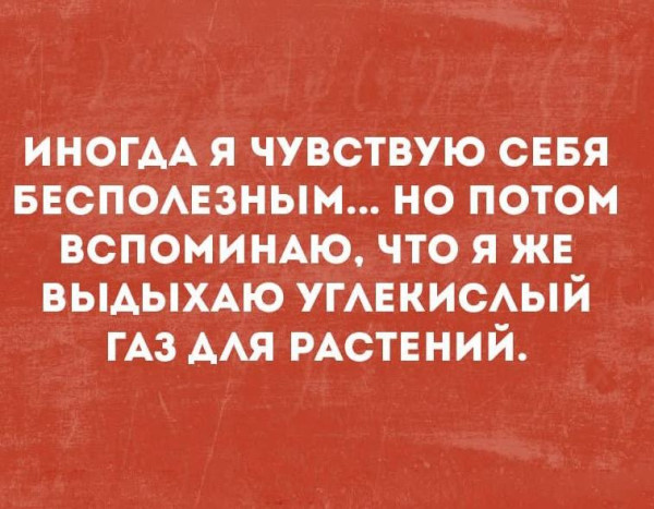 Мем, Ashmedai Мем, Ashmedai