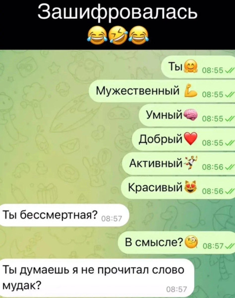 Мем, Ashmedai Мем, Ashmedai