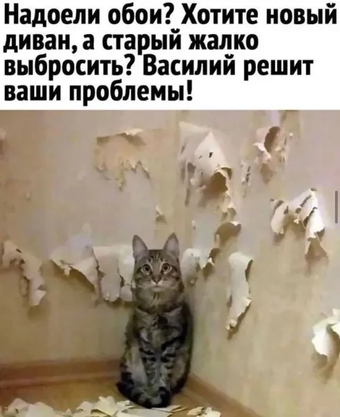 Мем, Смехалка